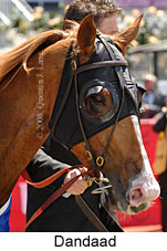 Dandaad (18507 bytes)