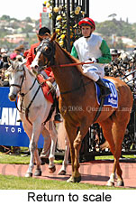 Return to scale (17769 bytes)