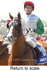 Return to scale (17769 bytes)