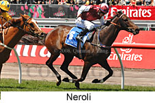 Neroli (18507 bytes)