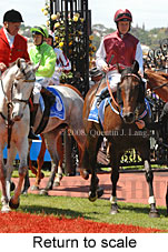 Return to scale (17769 bytes)