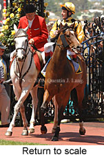 Return to scale (17769 bytes)