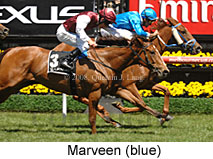 Marveen (18507 bytes)