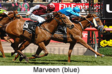 Marveen (18507 bytes)