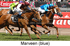 Marveen (18507 bytes)