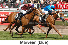 Marveen (18507 bytes)