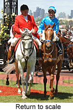 Return to scale (17769 bytes)