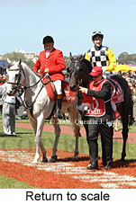 Return to scale (17769 bytes)