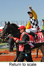 Return to scale (17769 bytes)