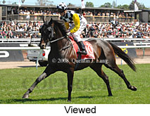 Viewed (18507 bytes)