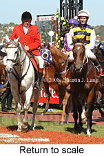 Return to scale (17769 bytes)