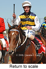 Return to scale (17769 bytes)