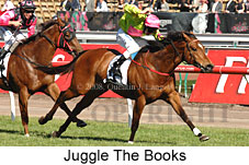 Juggle The Books (18507 bytes)