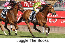 Juggle The Books (18507 bytes)