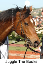 Juggle The Books (18507 bytes)