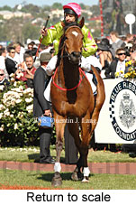 Return to scale (17769 bytes)