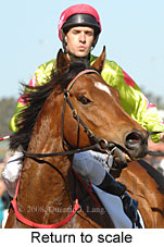 Return to scale (17769 bytes)