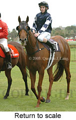 Return to scale (15361 bytes)