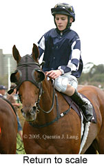 Return to scale (15361 bytes)