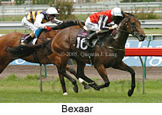 Bexaar (14872 bytes)