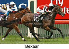 Bexaar (14872 bytes)