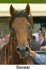 Bexaar (14872 bytes)