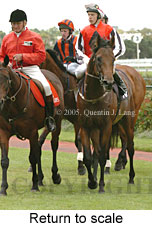 Return to scale (15361 bytes)