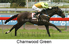 Charnwood Green (14872 bytes)