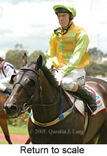 Return to scale (15361 bytes)