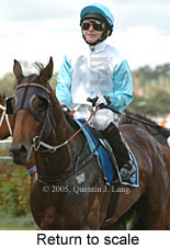 Return to scale (15361 bytes)