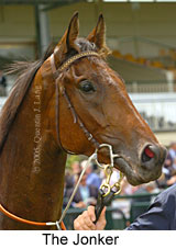 The Jonker (14872 bytes)