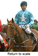 Return to scale (15361 bytes)