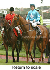 Return to scale (15361 bytes)