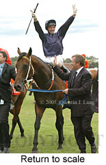 Return to scale (15361 bytes)