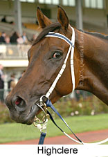 Highclere (14872 bytes)