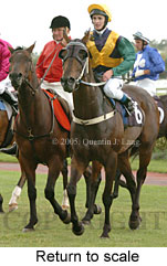 Return to scale (15361 bytes)