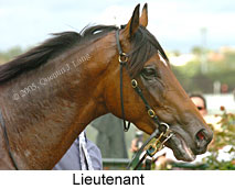 Lieutenant (14872 bytes)