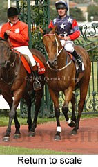 Return to scale (15361 bytes)