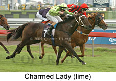 Charmed Lady (14872 bytes)