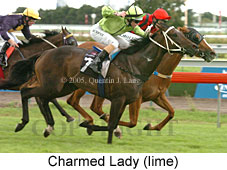 Charmed Lady (14872 bytes)