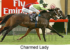 Charmed Lady (14872 bytes)