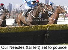 Our Needles (15541 bytes)