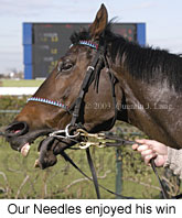 Our Needles (13426 bytes)