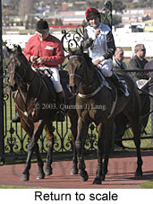 Return to scale (18273 bytes)