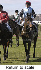 Return to scale (13739 bytes)