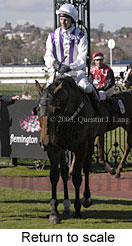 Return to scale (14251 bytes)