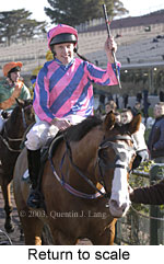 Return to scale (18273 bytes)