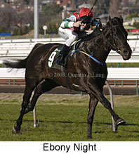 Ebony Night (17104 bytes)