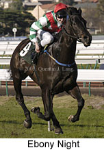 Ebony Night (14290 bytes)