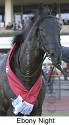 Ebony Night (12616 bytes)